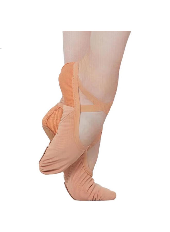 Sansha Adult Ballet Practice Shoes, Elastic Mesh With Leather Sole, Cat Paw Shoes, Dance Soft Shoes, Breathable, 357X, Size 37 - Image 2