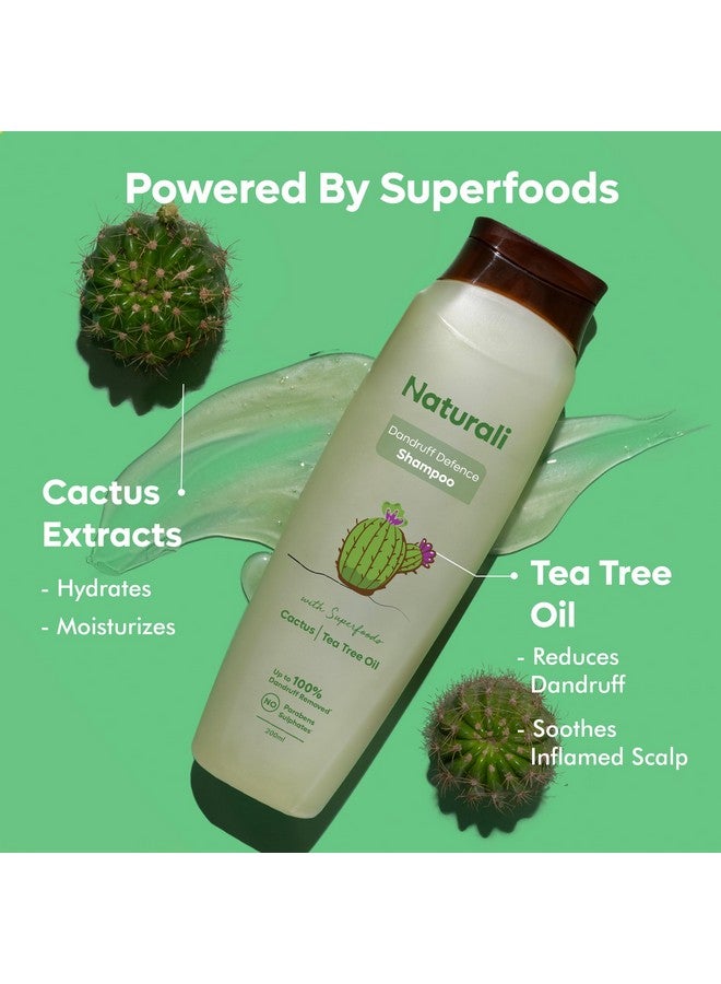 Naturali شامبو ناتورالي للقشرة | زيت شجرة الشاي للشعر | خالي من الكبريتات | شامبو قشرة للرجل | خالي من البارابين | 200 مل - Image 5