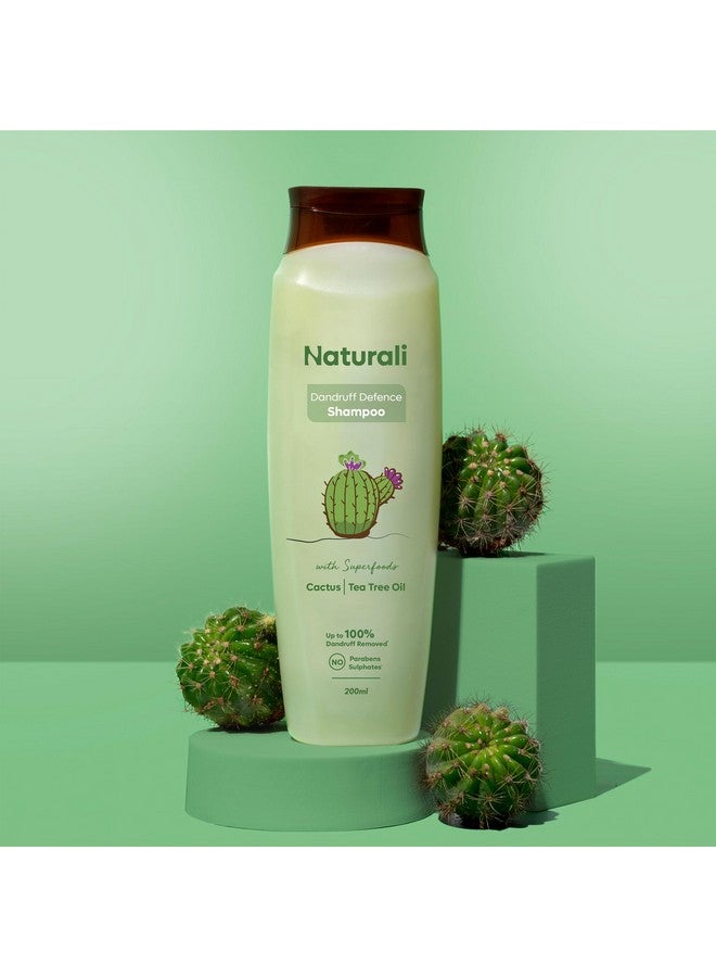 Naturali شامبو ناتورالي للقشرة | زيت شجرة الشاي للشعر | خالي من الكبريتات | شامبو قشرة للرجل | خالي من البارابين | 200 مل - Image 2