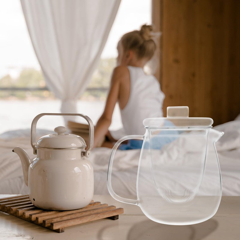 Heat Resistant Glass Teapot 750ml With Large Spout For Loose Leaf Tea Stovetop Safe - Image 5