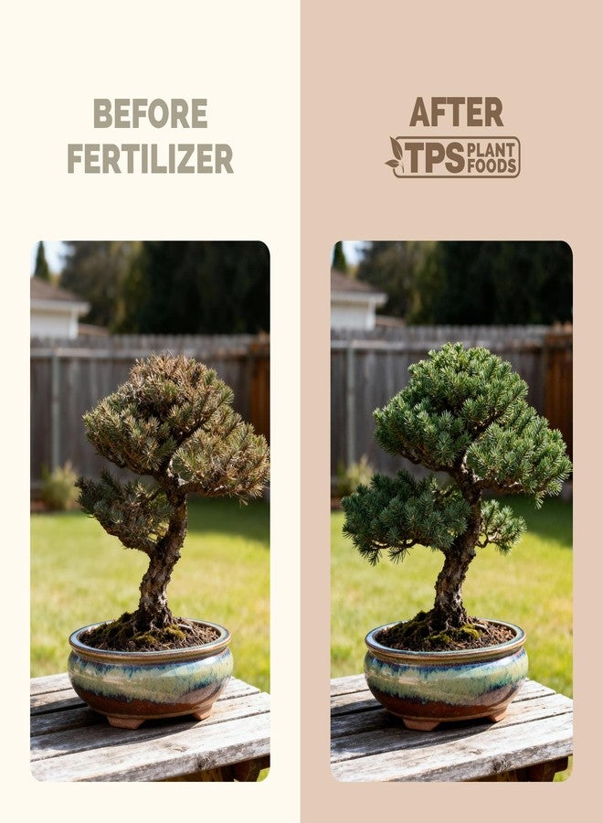 TPS NUTRIENTS سماد بونساي - غذاء سائل للنباتات من أجل نمو صحي، وأوراق نابضة بالحياة، وتطور جذور أقوى، 8 أونصة - Image 3