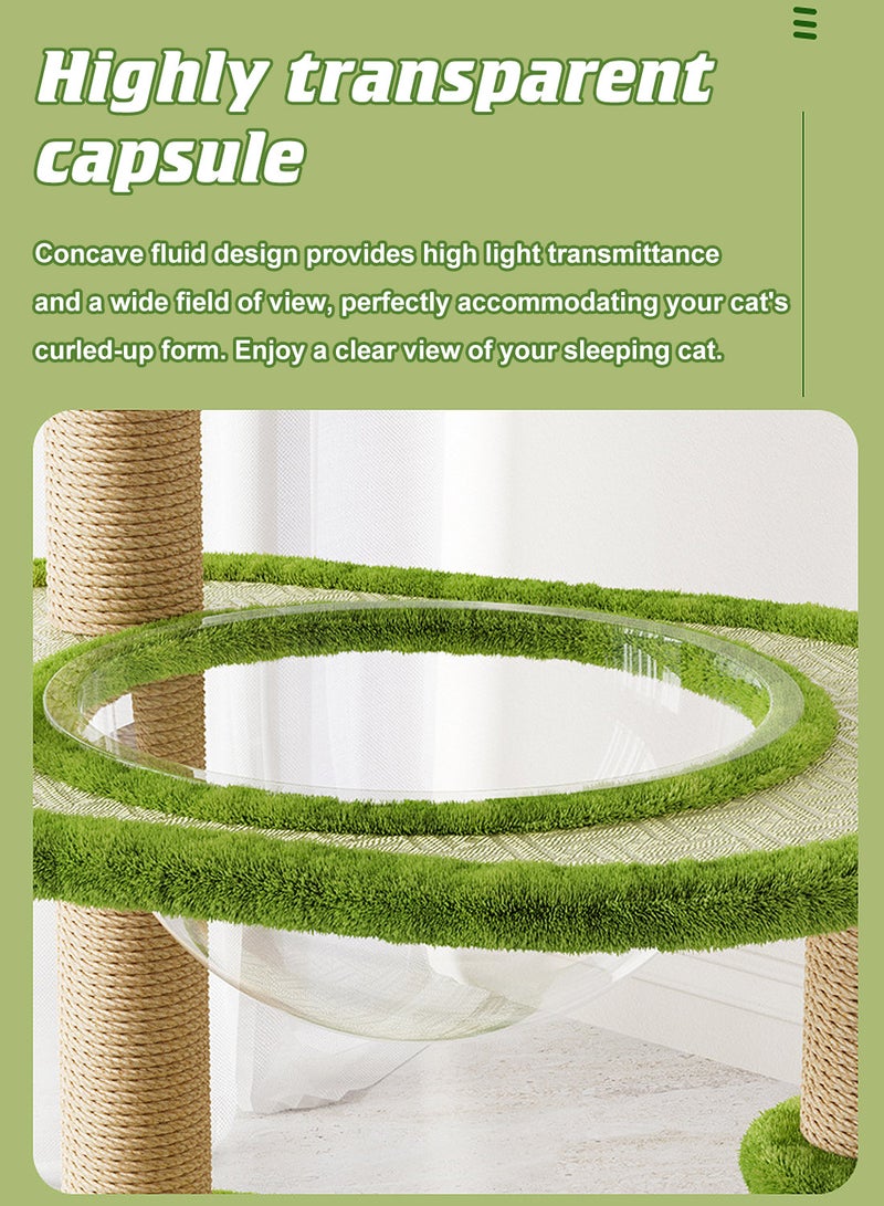 كيدل شجرة القطط، حصيرة باردة، إطار تسلق القطط، سجادة من الخيزران عالمية للفصول الأربعة، عمود خدش للقطط، منصة قفز للقطط - Image 5