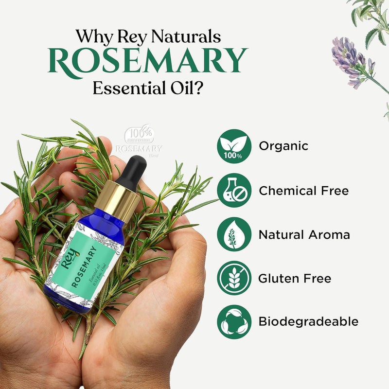 Rey Naturals Rey Naturals Pure Rosemary Essential Oil For Hair Growth Hairfall Control Dandruff Skin Non Greasy Rosemary Oil for Skin Body and Shiny Soft Hair Hair Oil For Women Men 15ml - Image 2