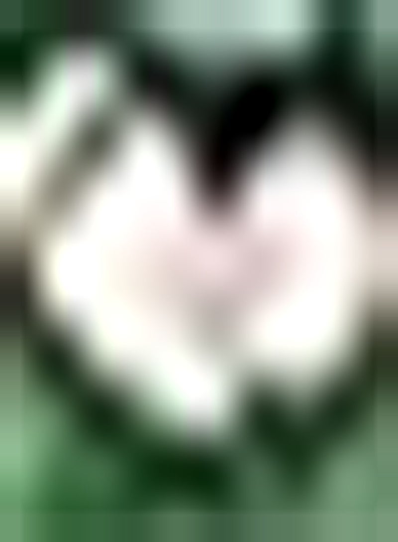 GGOOT 100pcs White Strawberry seeds Low Maintenance Vibrant Fruit Crop Easy Starter Beginners Trying Must Have Fruit for Entertaining Guests - Image 2