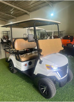 Eagle EV GREY ELECTRIC GOLF CART 2+2-SEATER FRONT & BACK FACE  - Image 2