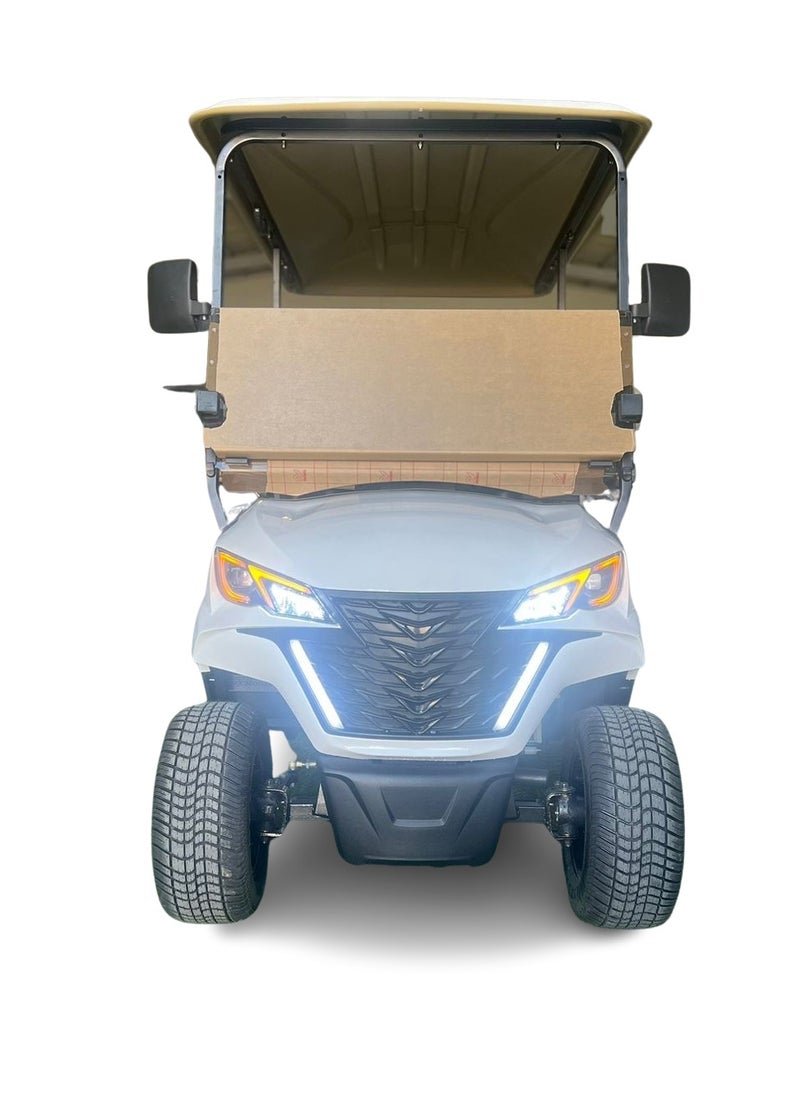 Eagle EV GREY ELECTRIC GOLF CART 2+2-SEATER FRONT & BACK FACE  - Image 1
