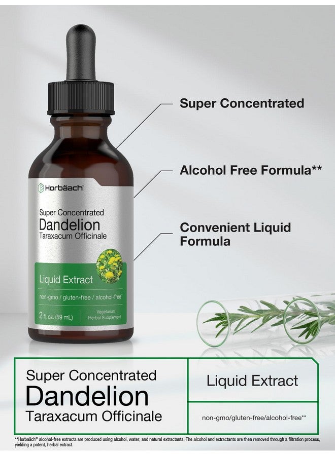 Horbäach Dandelion Root Extract | 2 fl oz | Super Concentrated | Alcohol Free Liquid Tincture | Vegetarian, Non-GMO, Gluten Free - Image 3