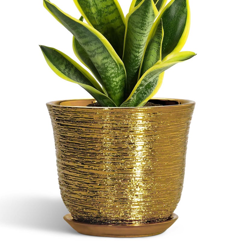 SUNPOTFOR Ceramic Plant Pots - 8 Inch Plant Pot with Drainage Hole and Saucer, Round Planter for Indoor Outdoor, Modern Flower Pot, Decorative Planter, Garden Home Office Decor, Gardening Gifts, Gold - Image 1