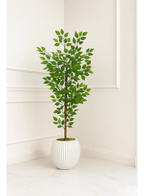 نبات بينجامينا صناعي بأوراق خضراء طبيعية في أصيص أنيق – ديكور عصري للمنزل والمكتب