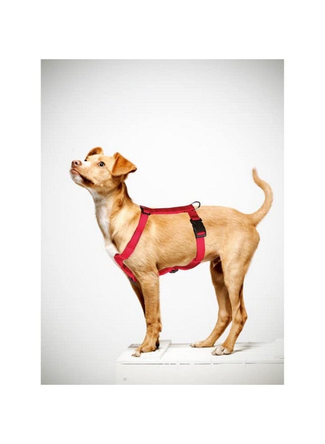 Trixie Classic H-Harness for Dogs | Made Nylon, Lightweight and Fully Adjustable Straps | Great Alternative to a Collar and Lead When Walking Your Pet - (40-65 cm/15 mm, S-M) Red - Image 2