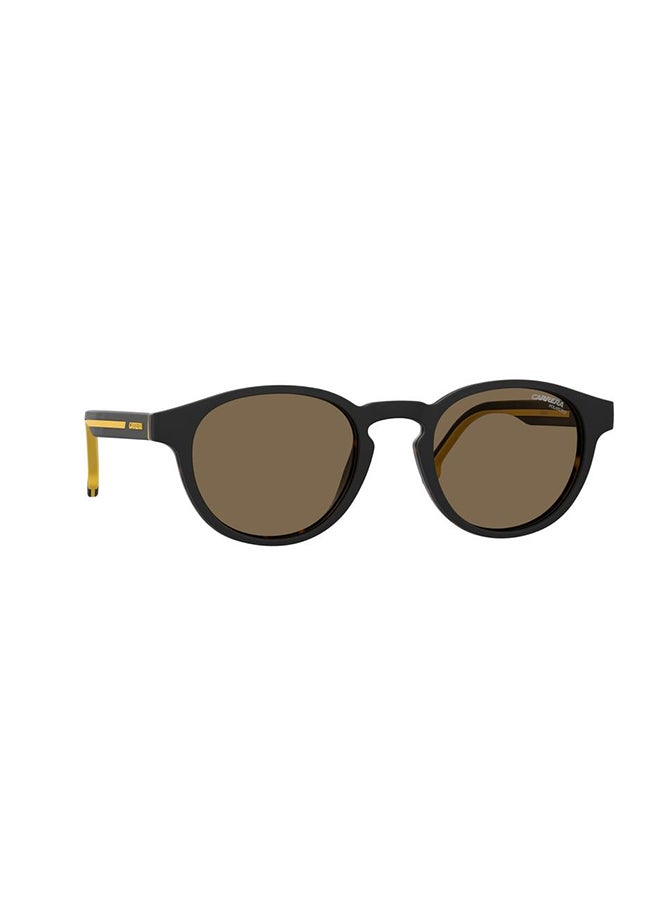 Carrera نظارات شمسية بانثوس  - Image 1