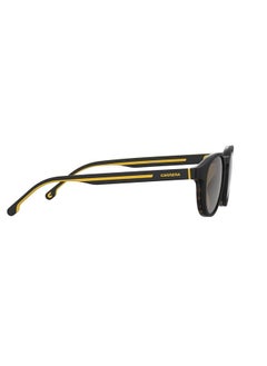 Carrera Panthos Sunglasses  - Image 3