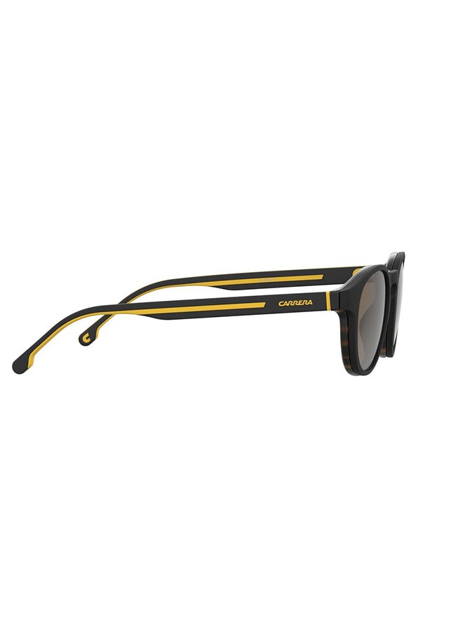Carrera نظارات شمسية بانثوس  - Image 3