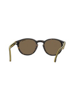 Carrera Panthos Sunglasses  - Image 2