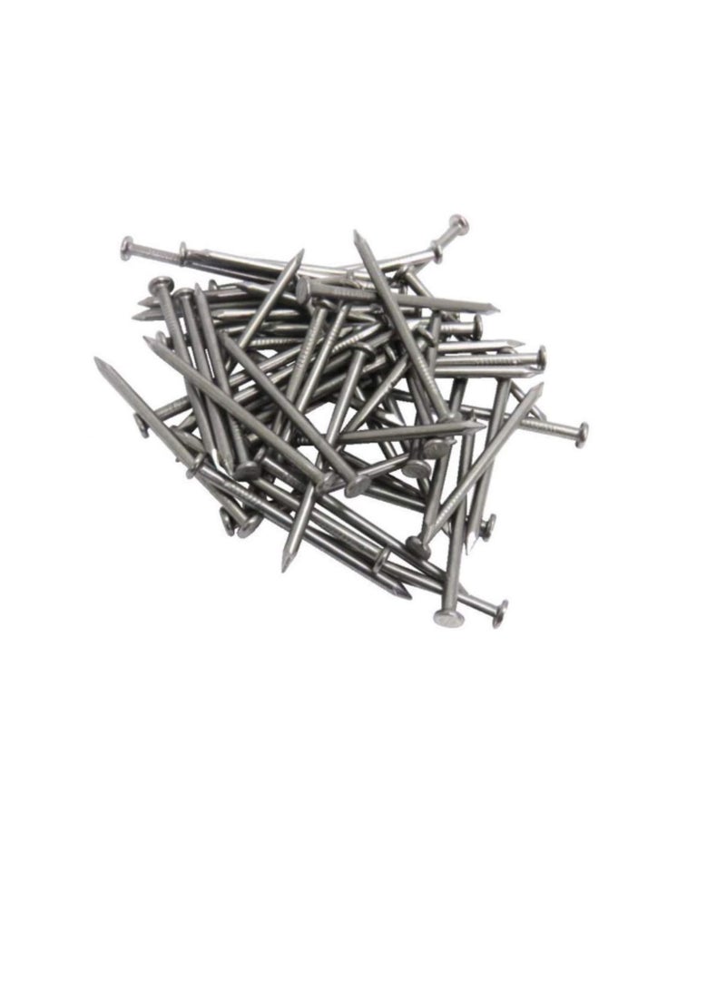 High Strength Round Head Nails For Carpentry Hardware Electrical Etc (75, 3 inch) - Image 2