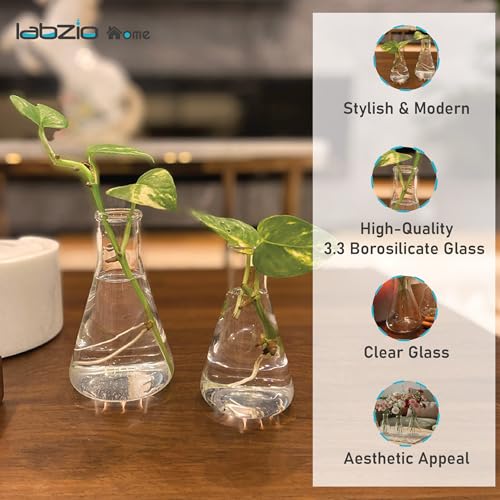 LABZIO Borosilicate Glass Flower Vase Set (4 pcs) – Elegant Conical Vases for Diwali Home Decor, Festive Table Centerpiece, Office, Living Room, Party & Indoor Floral Decoration - Image 4