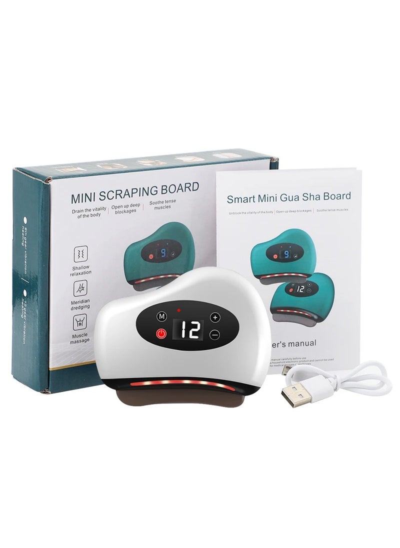DubaiGallery Intelligent Facial Scraping Stone Scraping Board Massager Electric Scraping Instrument Walking Can Facial Beauty Dialing Meridian Brush  - Image 1