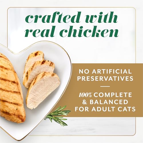 Fancy Feast Gems Pate Cat Food Mousse With Chicken and a Halo of Savory Gravy Cat Food - (Pack of 8) 4 oz. Boxes - Image 4