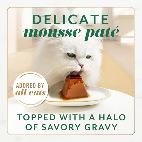 Fancy Feast Gems Pate Cat Food Mousse With Chicken and a Halo of Savory Gravy Cat Food - (Pack of 8) 4 oz. Boxes - Image 2