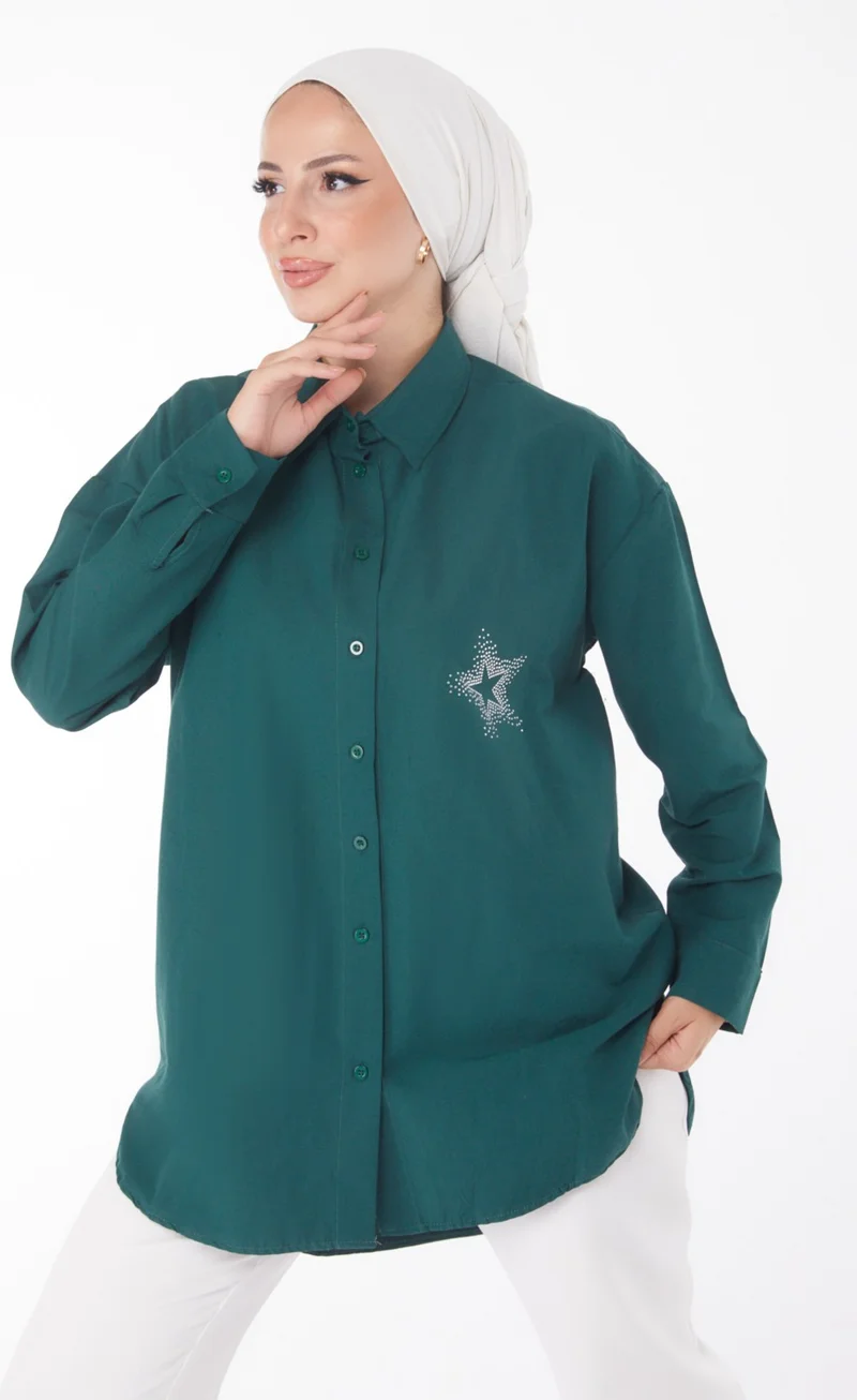 Tofisa Plain Shirt Collar Women's Green Shirt - 13238