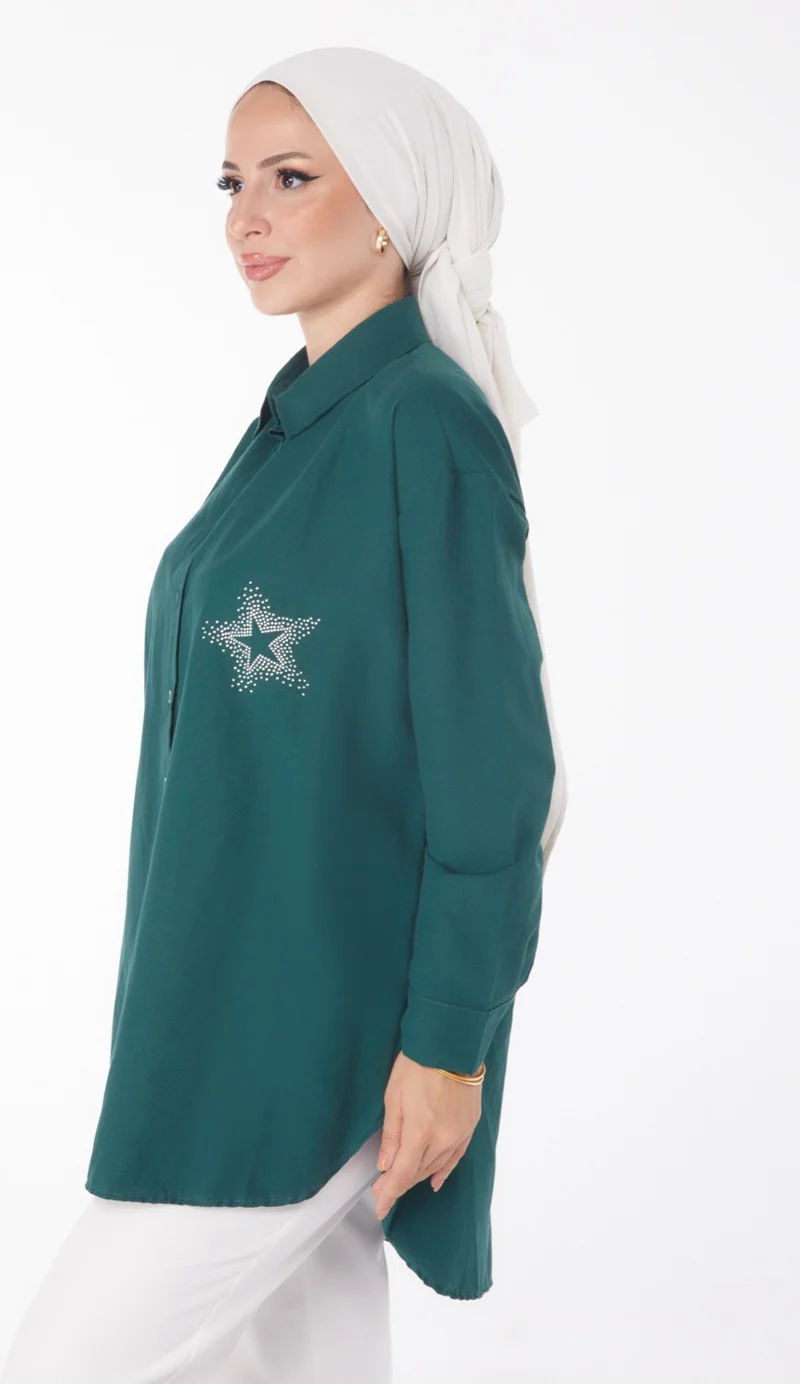 Tofisa Plain Shirt Collar Women's Green Shirt - 13238