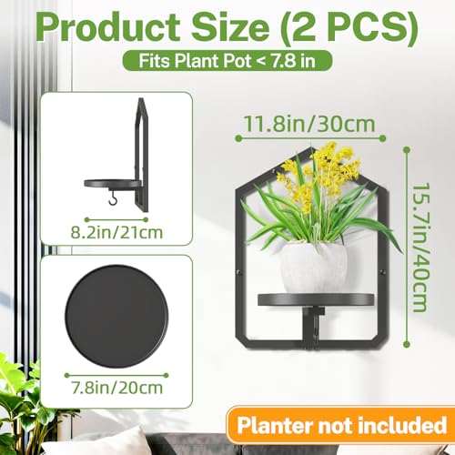 iDavosic.ly Wall Plant Picture Frame Holder Set of 2 for Indoor, Metal Stand with Hanging Hooks, Floating Flower Display Home Decor, Space Saving & Easy to Assemble (Pots/Chains/Plants Not Included) - Image 2