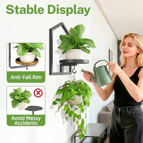 iDavosic.ly Wall Plant Picture Frame Holder Set of 2 for Indoor, Metal Stand with Hanging Hooks, Floating Flower Display Home Decor, Space Saving & Easy to Assemble (Pots/Chains/Plants Not Included) - Image 3