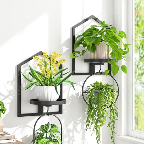 iDavosic.ly Wall Plant Picture Frame Holder Set of 2 for Indoor, Metal Stand with Hanging Hooks, Floating Flower Display Home Decor, Space Saving & Easy to Assemble (Pots/Chains/Plants Not Included) - Image 1
