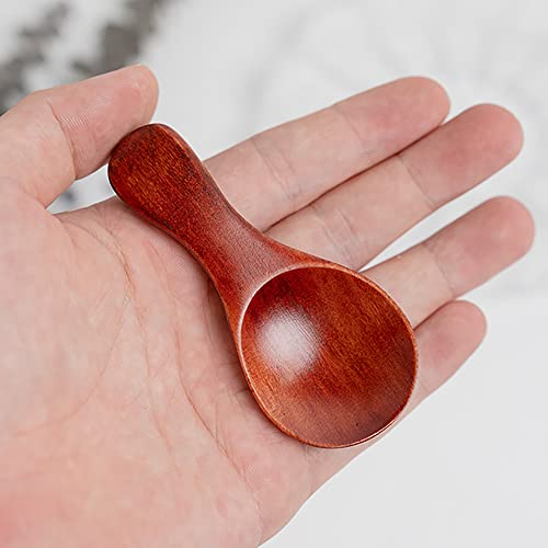 LZZEM 6Pcs Small Wooden Salt Spoon Mini Wood Spoon with Short Handle Candy Spoon Tea Scoop Natural Wooden Spoon for Candy Honey Spices Sugar Ice Cream and Tea - Image 3