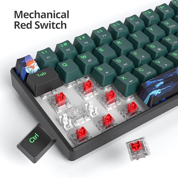 rayihni 60% MECHANICAL GAMER KEYBOARD,MECHANICAL KEYBOARD WIRED LED BACKLIT KEYBOARD,QWERTY AMERICAN LAYOUT FOR PC/WINDOWS - Image 2