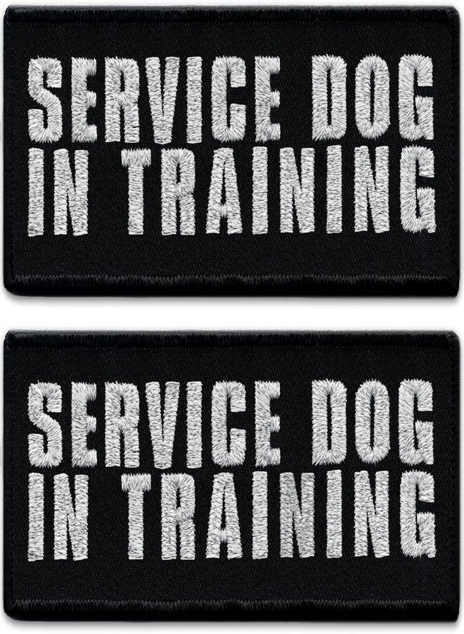 Laughing Lizards Service Dog Training Vest Patches (2-Pack) Reflective Harness with Embroidered Patches in 3 Sizes (Training, Medium (4.5" x 1.5")) - Image 1