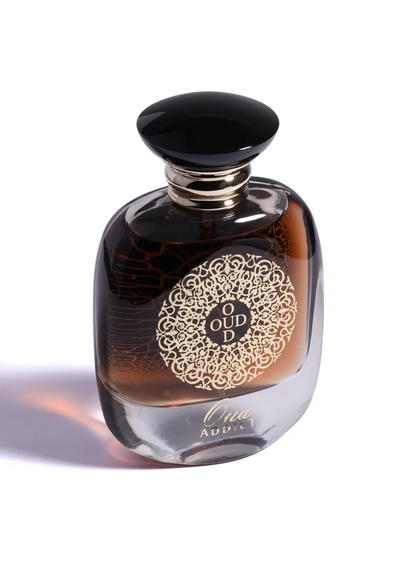 AMD Perfumes  Oud Addict By AMD Perfumes Men Fragrance EDP 100ml for Men | Best Price UAE