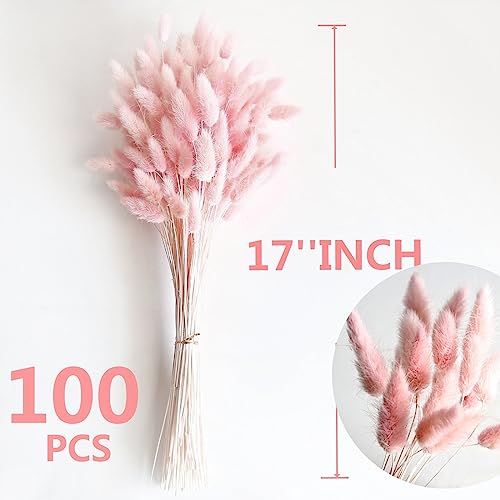 CKBT 120 PCS Pink Dried Pampas Grass Decor, 17-inch Pompas Floral, Dry Flowers for Decoration, Pampas Grass in Bulk Tall, Pink Bunny Tails Dried Flowers for Boho Wedding Decor - Image 5