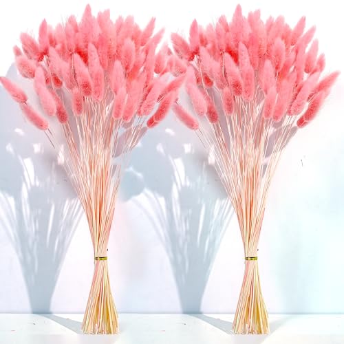 CKBT 120 PCS Pink Dried Pampas Grass Decor, 17-inch Pompas Floral, Dry Flowers for Decoration, Pampas Grass in Bulk Tall, Pink Bunny Tails Dried Flowers for Boho Wedding Decor - Image 2