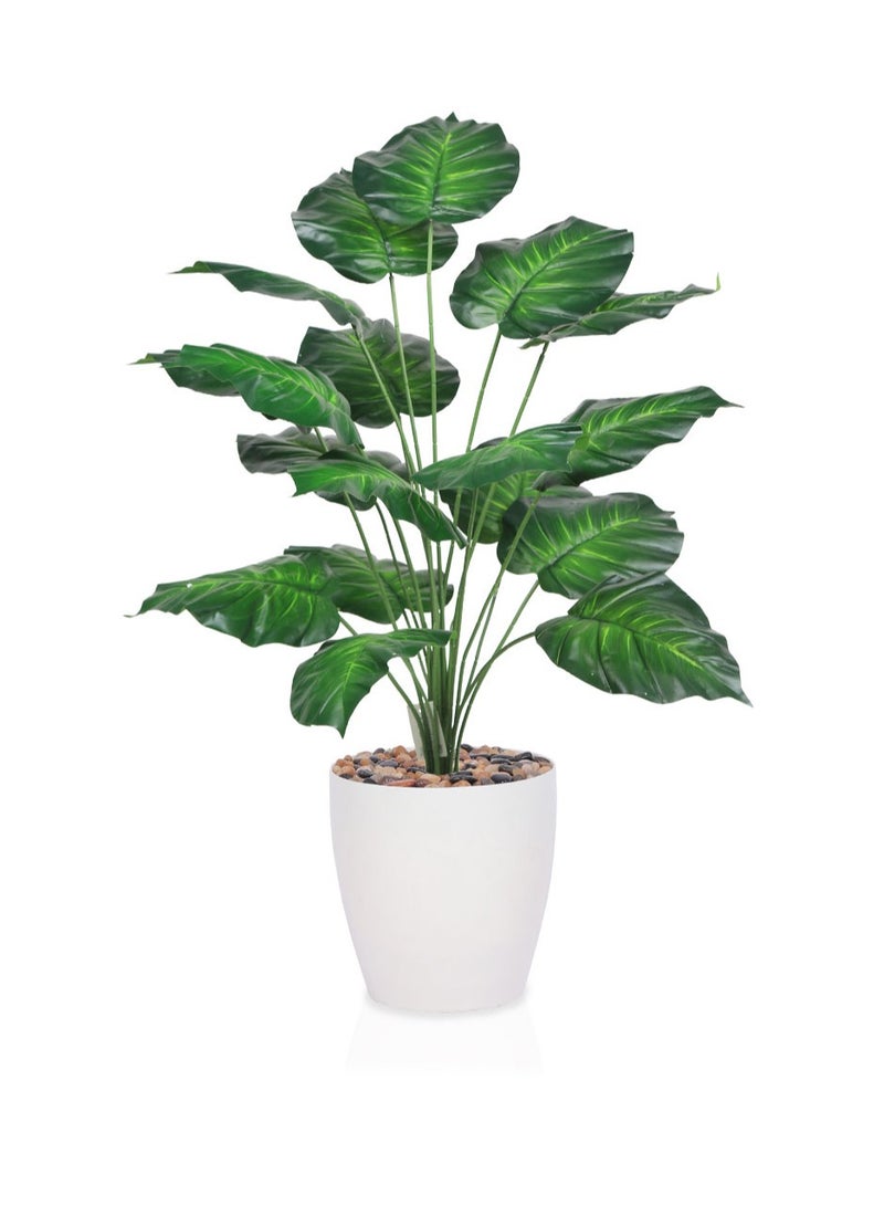 Alrassi Artificial Heart-Leaf Plant – 85 cm Height with White Pot – A Fresh Decorative Touch with Vibrant Green Leaves  - Image 1