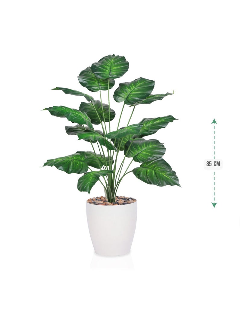 Alrassi Artificial Heart-Leaf Plant – 85 cm Height with White Pot – A Fresh Decorative Touch with Vibrant Green Leaves  - Image 2