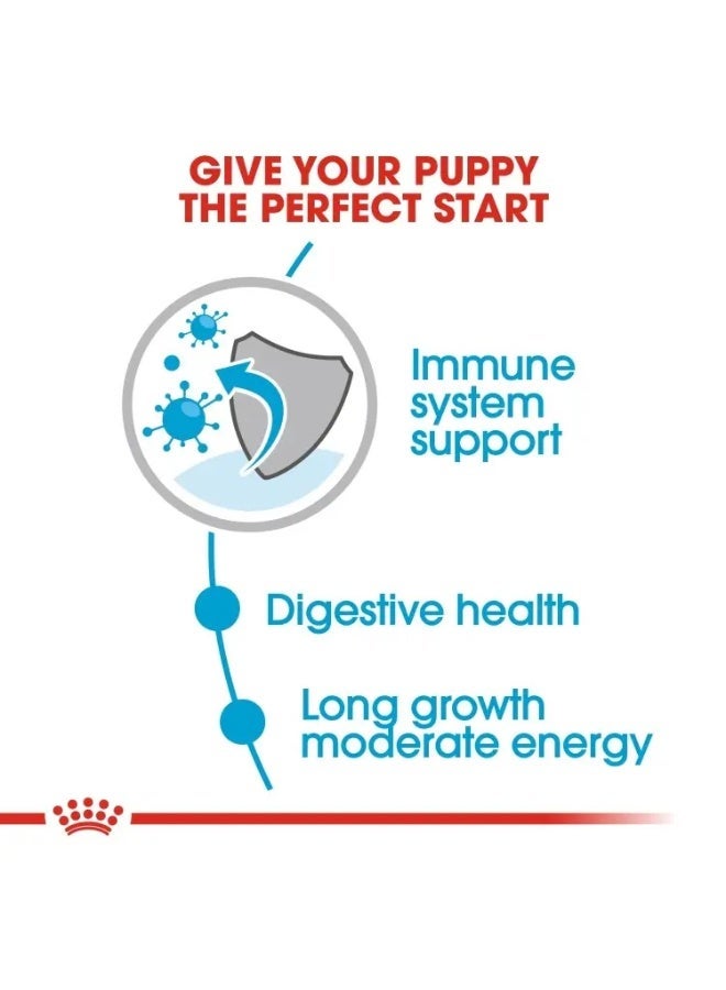 Royal Canin Canine Health Nutrition Maxi Puppy Wet Food Pouch 10x140g - Image 5