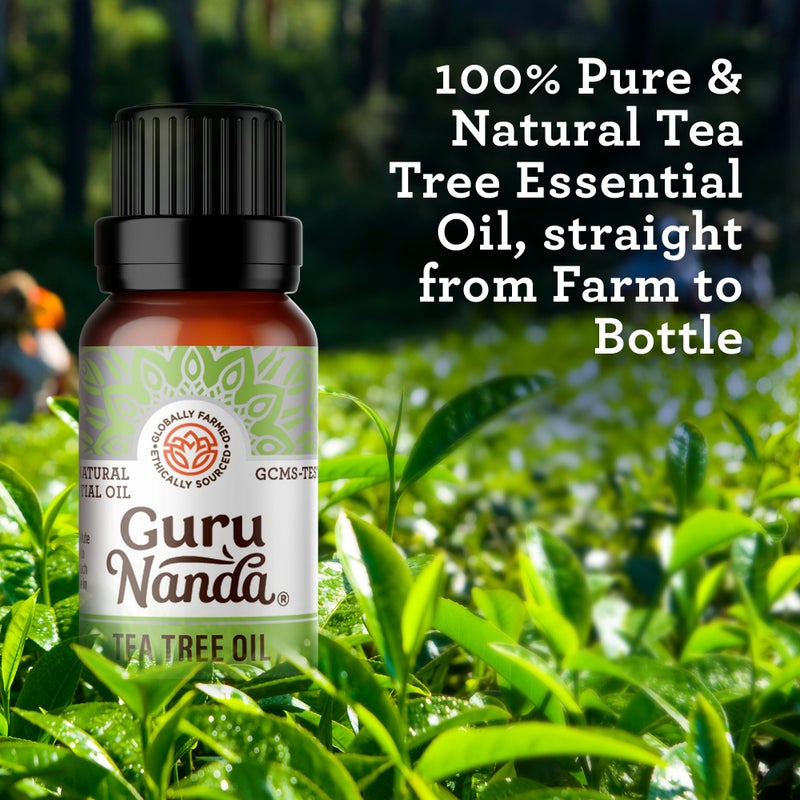 GuruNanda Tea Tree Essential Oil (0.5 Fl Oz) - 100% Pure, Natural and Undiluted Essential Oil for Diffusers - Perfect for Aromatherapy, Massages & DIY Recipes - Helps in Skin and Hair Care - Image 3