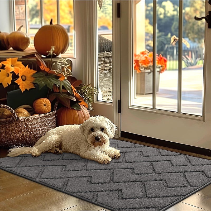 hicorfe Indoor Door MatNon Slip Door Mats32x48 Front Back Door Mat Rubber BackingAbsorbent Resist Dirt Entrance Inside Floor Mats for Entryway Washable LowProfileGrey