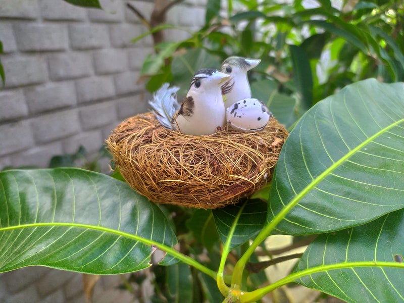 SHINDE EXPORTS Decorative Artificial Birds Nest Hanging Made of Natural Grass Best for Balcony Home Decor and Gifting (Design 12) - Image 4