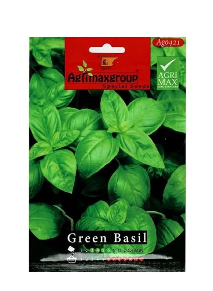 Generic Green Basil Premium Quality Seeds by Agrimaxgroup®"Garden Care" 
