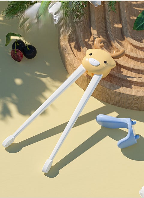 Tiger Learning Chopsticks - Box