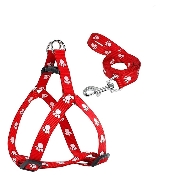 KittuPet Adjustable 0.75 Inch Nylon Leash with Harness Set Printed Nylon Puppy Harness for Small & Medium Dogs (Color May Vary) - Image 1