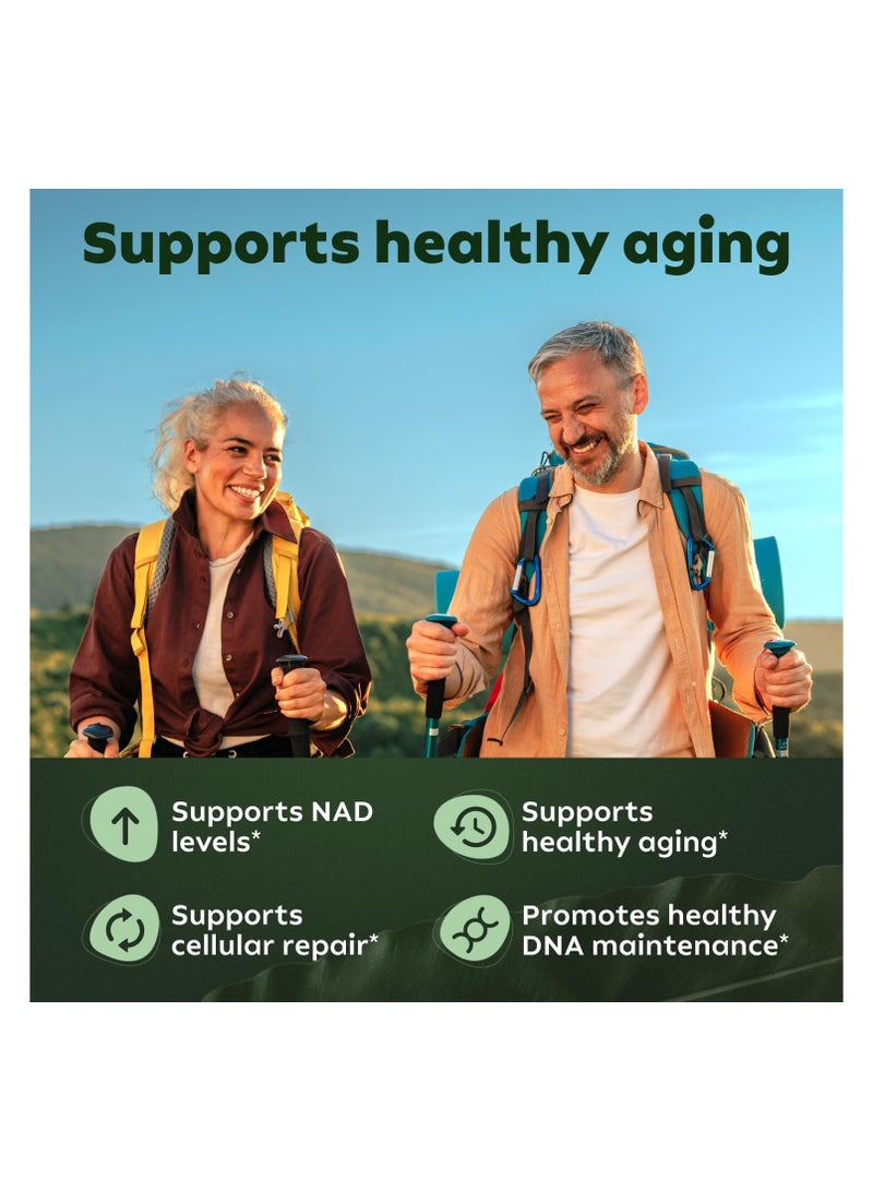 Reus Research NMN Supplement Alternative - Liposomal Nicotinamide Riboside w/Resveratrol & Quercetin - High Purity NAD Supplement for Anti-Aging, Energy, Focus - 80 Capsules - Image 3