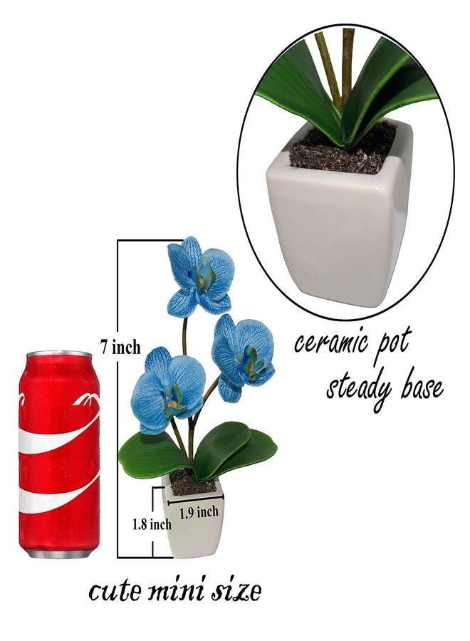 BINFEN Mini Artificial Silk Orchid Potted Flowers - 4pcs Real Touch Fake Small Plants in Ceramic Vase for Home Office Bathroom Living Room,Tiny Faux Table Shelf Decor White & Blue - Image 2