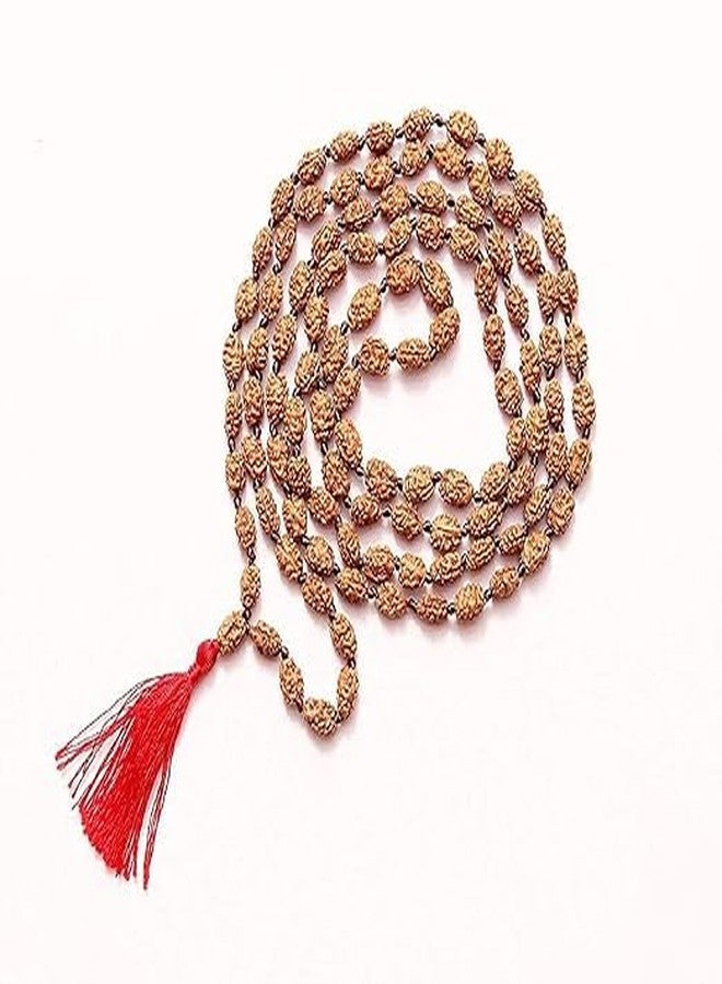 DEVAMA THE DIVINE Certified Natural 2 Mukhi Rudraksha Mala 2 Face Rudraksha mala Certified 108 Beads Moon Rudraksha Mala with Lab Certification (7-9 mm) - Image 2