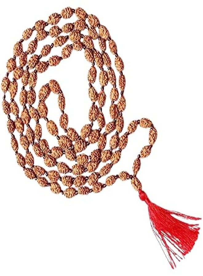 DEVAMA THE DIVINE Certified Natural 2 Mukhi Rudraksha Mala 2 Face Rudraksha mala Certified 108 Beads Moon Rudraksha Mala with Lab Certification (7-9 mm) - Image 1