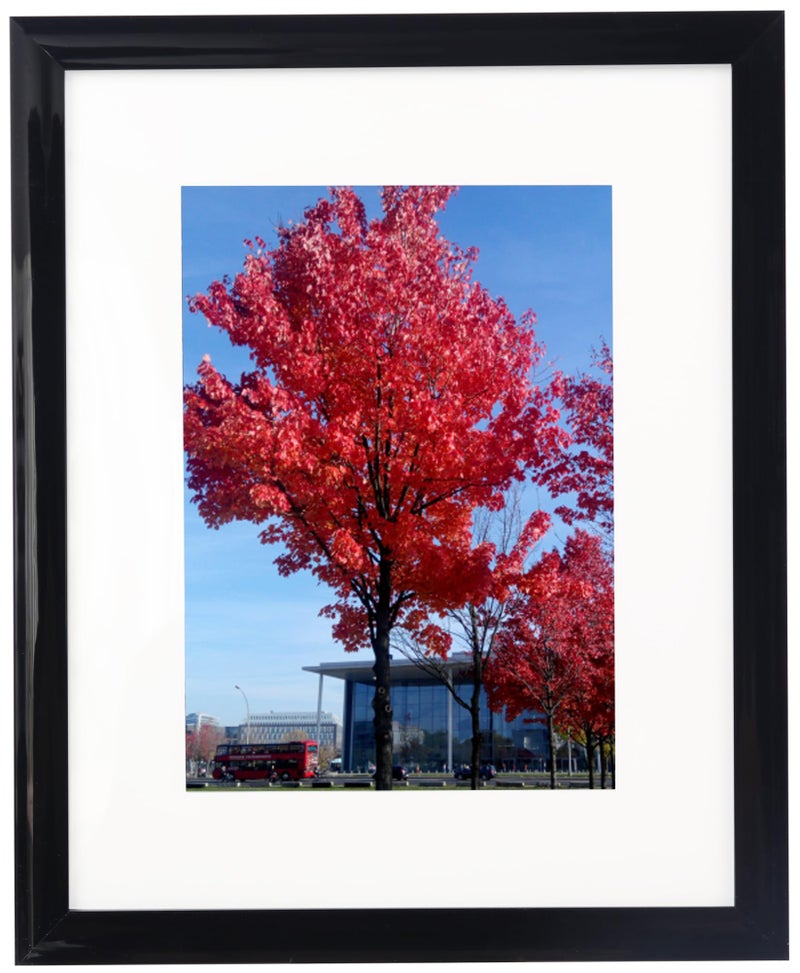 Medog 8x12 Picture Frame  Display Pictures 6x8 with Mat or 8x12 Without Mat for Certificate Poster and Photo Wall Hanging Photo Frame  Black  1 Pack - Image 1