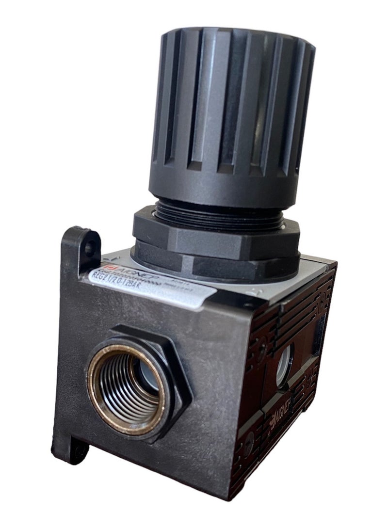 Aignep Air Regulator Size 1/2 Italy - Image 1
