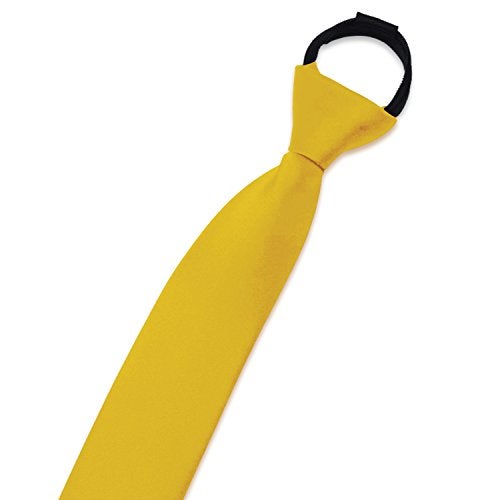 Aurya Boys'Solid Color Zipper Tie 15 inch Polyester Satin Zipper Neckties (Gold) - Image 2